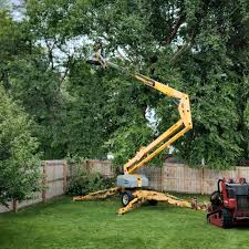 Best Tree Risk Assessment  in Healdton, OK